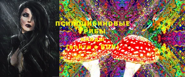 мдпв Абинск