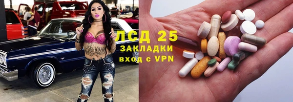 прущие грибы Абдулино