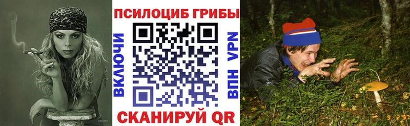 Псилоцибиновые грибы Psilocybine cubensis  Алагир 