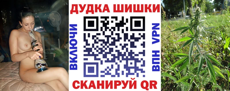 Конопля планчик  цена   Алагир 